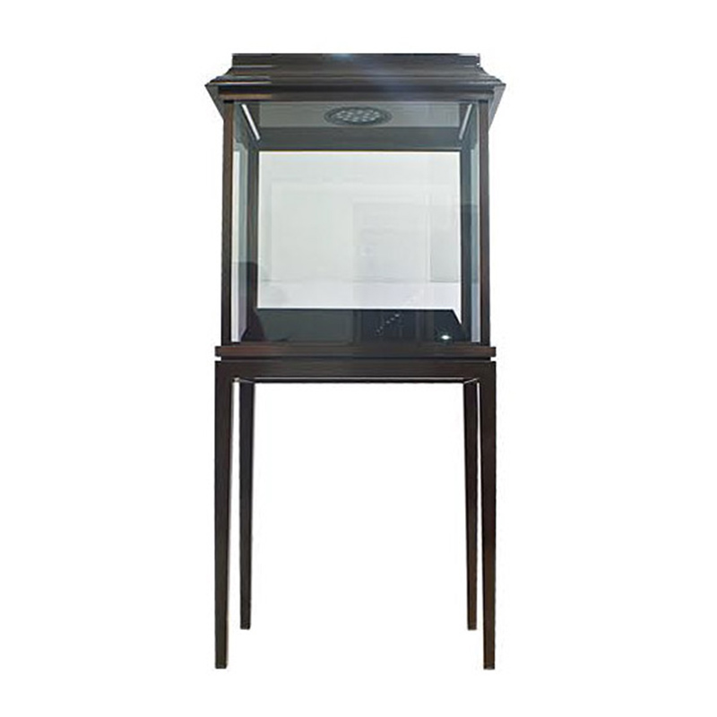 jewelry showcase display