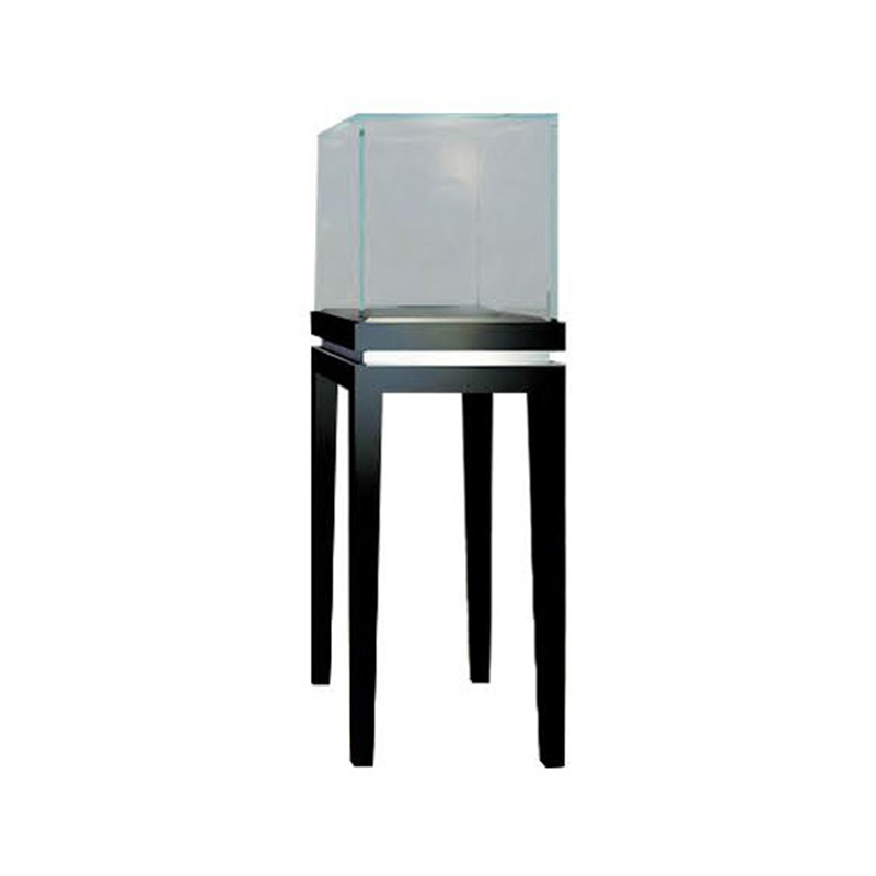 jewelry showcase display